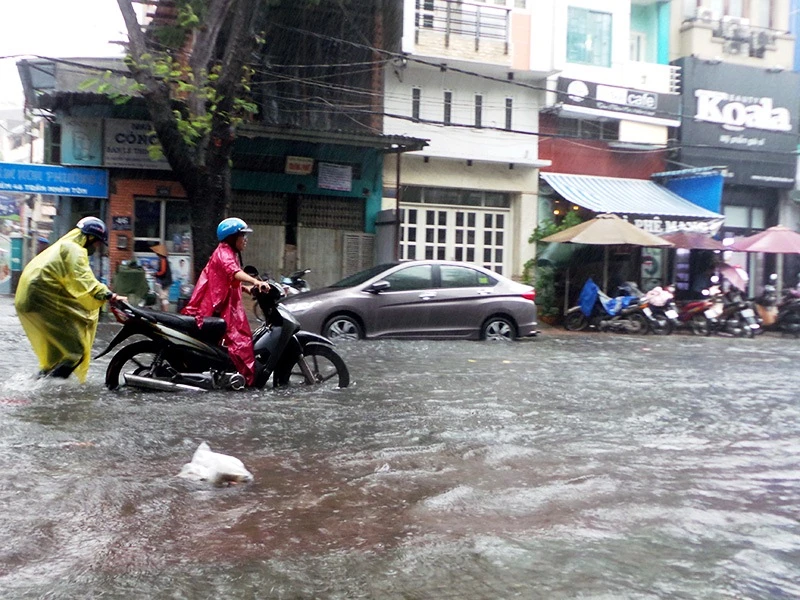 Mưa lớn, TP.HCM lại ngập nhiều nơi